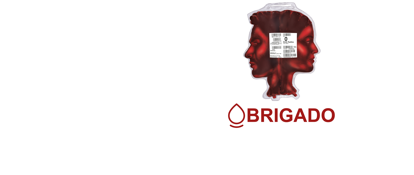 Dia Nacional do Dador de Sangue 2022 -  Homenagem aos Jovens Dadores